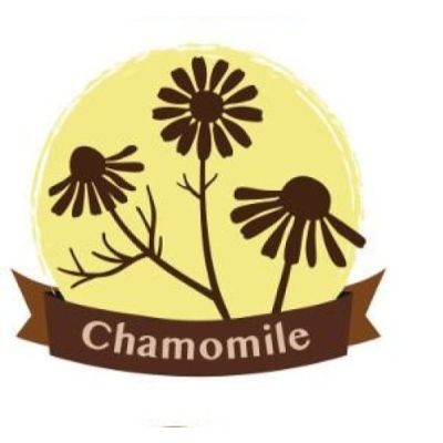 Crayola Chamomile Revive Aroma Silly Putty