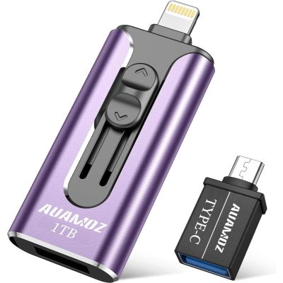 EasyFlash USB iOS Memory Stick Photo Stick External Storage Thumb Drive for iPhone iPad Android Computer - 256GB