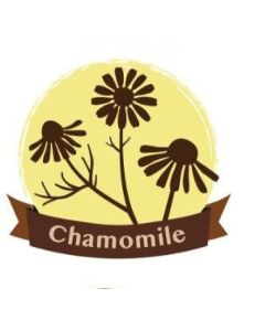 Crayola Chamomile Revive Aroma Silly Putty